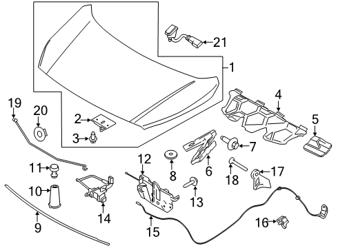 2019 Ford Transit Connect Hood & Components Front Weatherstrip Diagram for KT1Z-16A238-A