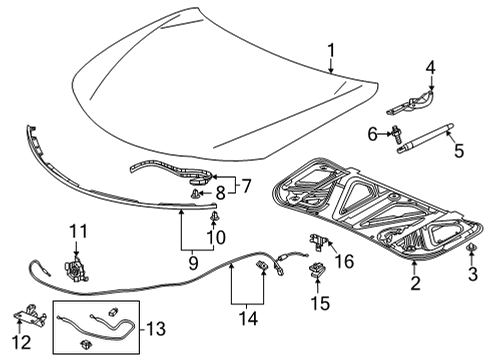 2022 Acura TLX Hood & Components WIRE ASSY., HOOD Diagram for 74130-TGZ-A01