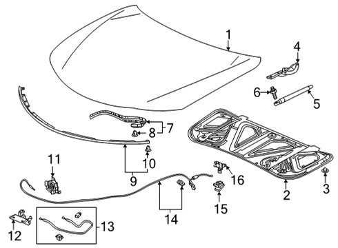 2022 Acura TLX Hood & Components RUBBER, HOOD SEAL Diagram for 74143-TGV-A01