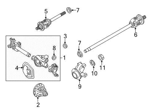 2020 Ford F-350 Super Duty Carrier & Front Axles Flange Lock Nut Diagram for HC3Z-00811-B