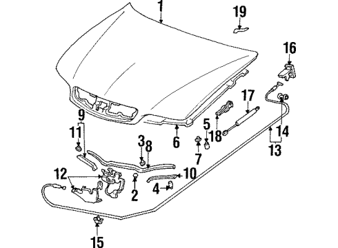 1997 Acura CL Hood & Components Open Stay Assembly, Ho Diagram for 74145-SV7-315