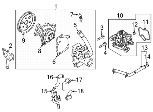 2022 Kia Sorento Water Pump Gasket-Water Pump Diagram for 251302S000