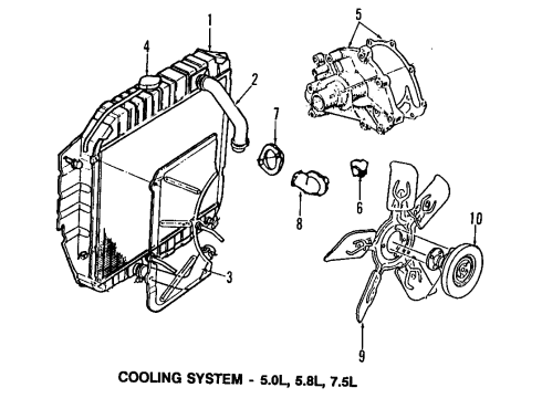 1994 Ford E-350 Econoline Club Wagon Cooling System, Radiator, Water Pump, Cooling Fan, Belts & Pulleys Lower Hose Diagram for FOUZ8286D