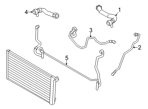 2015 BMW 535d Hoses, Lines & Pipes Coolant Hose Lower Diagram for 17128513604