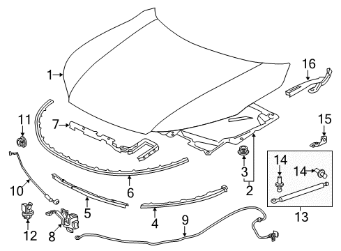 2014 Honda Accord Hood & Components Stay, Hood Opener Diagram for 74145-T3V-A00