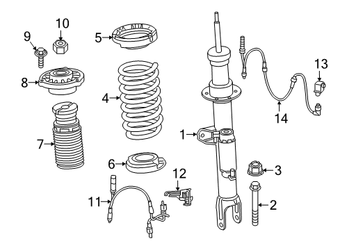 2021 BMW 540i Struts & Components - Front FRONT COIL SPRING Diagram for 31336879738