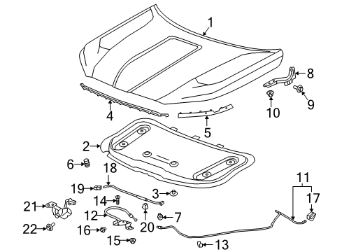 2019 GMC Terrain Hood & Components Support Rod Diagram for 84782960