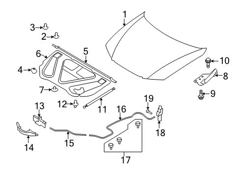 2010 Hyundai Azera Hood & Components Cover-Hood Latch Diagram for 81135-3L000