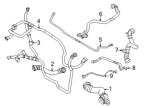 2021 BMW X4 Radiator Hoses HOSE CHARGE AIR COOLER Diagram for 17128053467