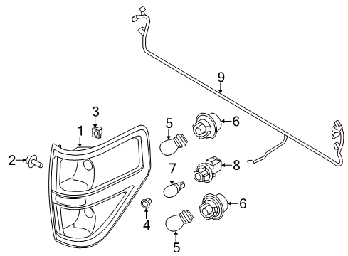 2010 Ford F-150 Bulbs Tail Lamp Assembly Diagram for BL3Z-13404-AA