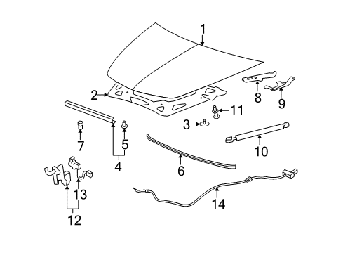 2008 Chevrolet Malibu Hood & Components Hood Diagram for 25907215