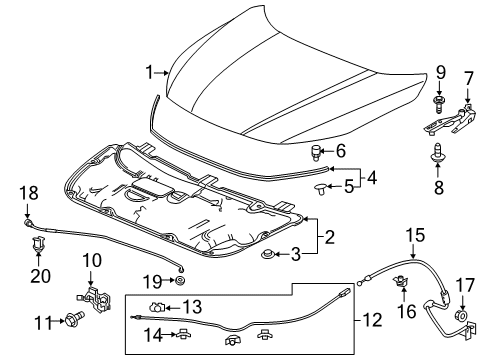 2020 Honda Insight Hood & Components Lock Assembly, Hood Diagram for 74120-TXM-A01