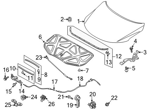 2011 Kia Forte Koup Hood & Components Handle Assembly-Hood Latch Diagram for 811814D000WK