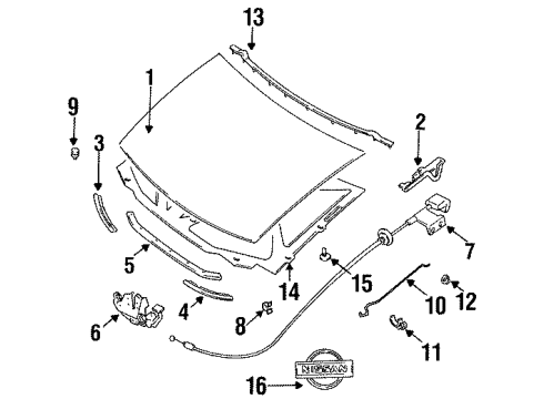 1995 Nissan Quest Hood & Components, Exterior Trim Male Assy-Hood Lock Diagram for 65601-0B000