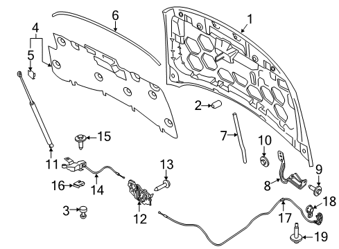 2019 Lincoln MKC Hood & Components Hood Diagram for EJ7Z-16612-A