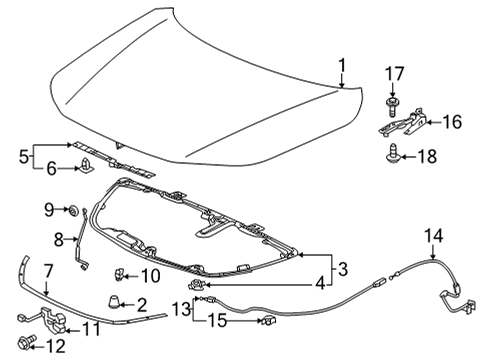 2022 Honda Civic Hood & Components WIRE ASSY-, FR- HOOD Diagram for 74131-T20-A01