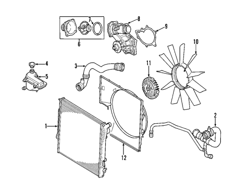 2003 BMW X5 Cooling System, Radiator, Water Pump, Cooling Fan Fan Coupling Diagram for 11527500339