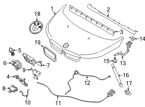 2016 BMW i3 Hood & Components Gas Pressurized Spring, Hood Diagram for 51237299161