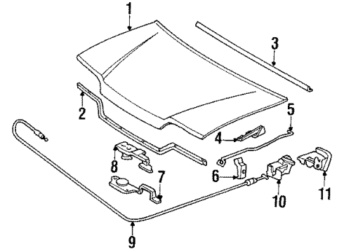 1988 Honda CRX Hood & Components Holder, Hood Opener Stay Diagram for 90671-SH3-003