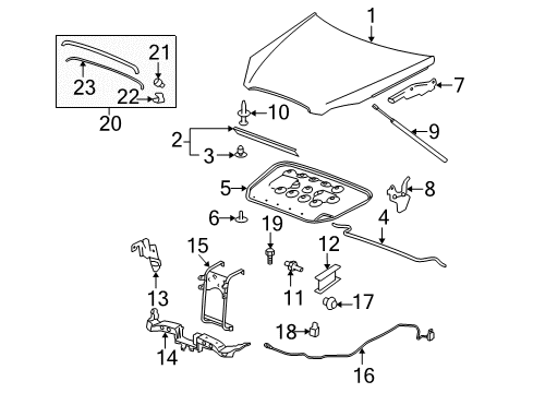 2008 Buick Lucerne Hood & Components, Exterior Trim Front Molding Retainer Diagram for 11609934
