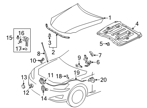 2012 Lexus IS250 Hood & Components Hood Support Assembly, Left Diagram for 53450-0W082