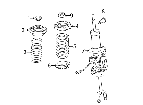 2012 BMW 750Li xDrive Struts & Components - Front Front Coil Spring Diagram for 31336786771