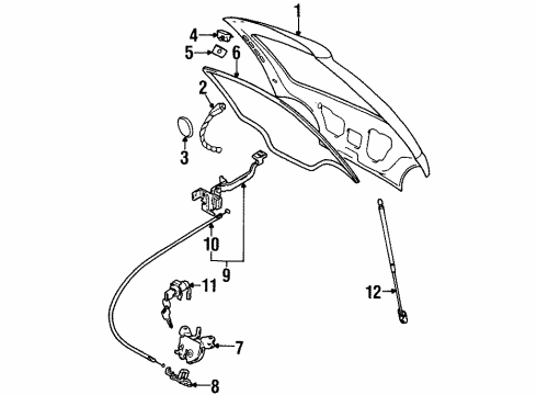 1995 Geo Metro Lift Gate Weatherstrip, Lift Gate Diagram for 30014009