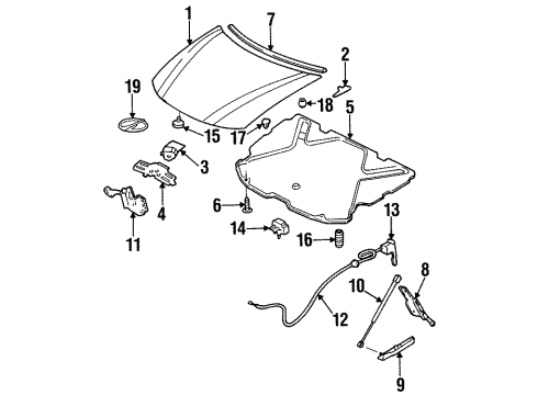 1998 Oldsmobile Intrigue Hood & Components Latch Asm-Hood Primary & Secondary Diagram for 10423016