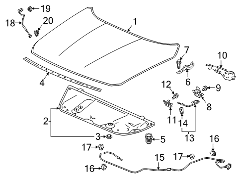 2019 Honda Accord Hood & Components Lock Assembly, Hood Diagram for 74120-TVA-A01