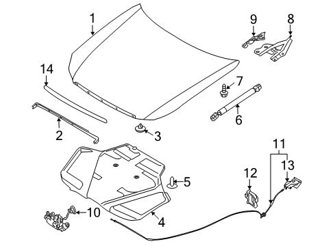 2009 Infiniti M45 Hood & Components, Exterior Trim Hood Lock Male Assembly Diagram for 65601-EJ70B