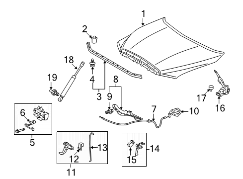 2009 Toyota Tundra Hood & Components Support Cylinder Diagram for 53450-0C021