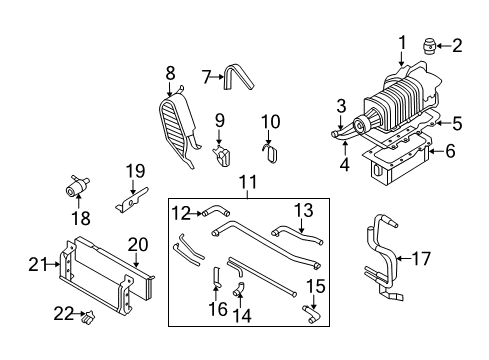 2003 Ford Mustang Supercharger & Components Drive Belt Diagram for 2R3Z-8620-BC