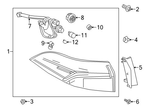 2020 Toyota Corolla Bulbs Combo Lamp Assembly Diagram for 81550-02C60