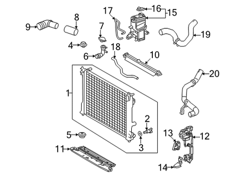 2022 Lexus NX450h+ Radiator & Components HOSE, RADIATOR, NO.1 Diagram for 16571-25160