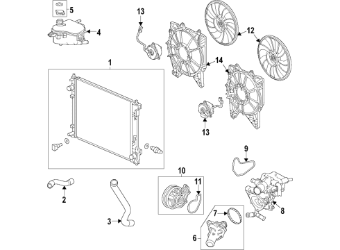 2019 Honda Civic Cooling System, Radiator, Water Pump, Cooling Fan Hose, Water (Lower) Diagram for 19502-5BF-G10