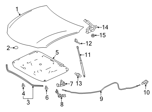 2021 Lexus RC300 Hood & Components Hinge Assembly, Hood, LH Diagram for 53420-24080