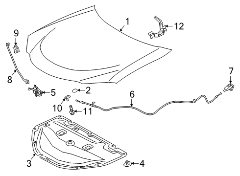 2019 Lexus UX250h Hood & Components INSULATOR, Hood Diagram for 53341-76020