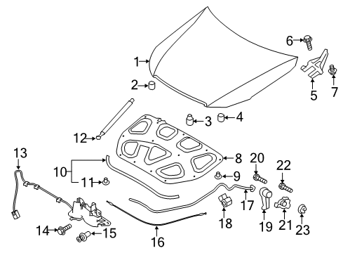 2016 Kia K900 Hood & Components Strip-Seal Hood Diagram for 86435-3M000