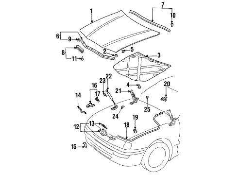 1999 Toyota Avalon Hood & Components Support Cylinder Diagram for 53440-A9010