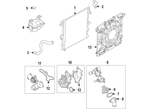 2020 Ford Police Interceptor Utility Cooling System, Radiator, Water Pump, Cooling Fan Upper Hose Diagram for L1MZ-8260-N