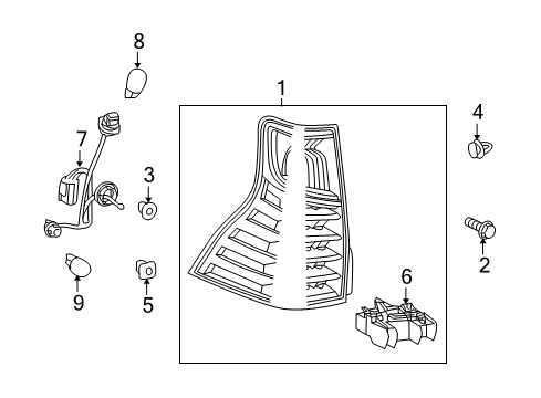 2021 Lexus GX460 Bulbs Lens & Body, Rear Combination Lamp Diagram for 81551-60B31