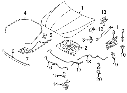 2010 BMW 535i GT Hood & Components Bracket For Gas Spring, Left Diagram for 51237201313