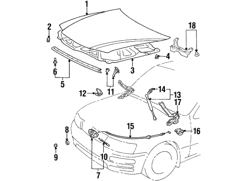 1999 Lexus LS400 Hood & Components Seal, Hood To Radiator Support Diagram for 53381-50040