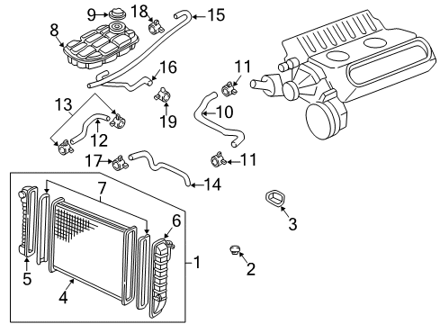 1997 Chevrolet Corvette Radiator & Components Outlet Radiator Coolant Hose Assembly Diagram for 10229480