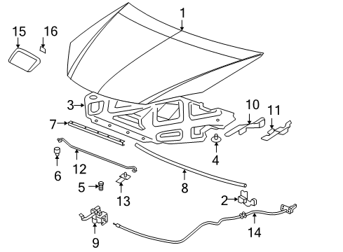 2009 Pontiac G6 Hood & Components, Exterior Trim Hinge Diagram for 15143683