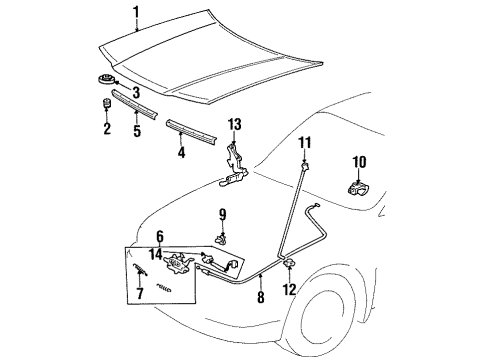 1997 Toyota Paseo Hood & Components Front Seal Diagram for 53382-16030