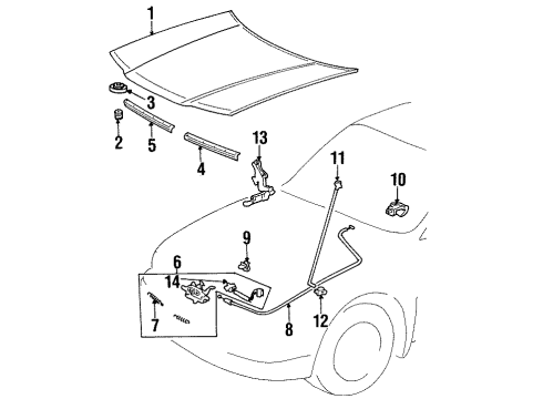 1997 Toyota Paseo Hood & Components Hood Support Rod Diagram for 53440-16070