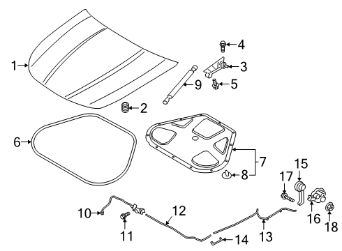 2019 Kia K900 Hood & Components Lifter-Hood Diagram for 81161J6000