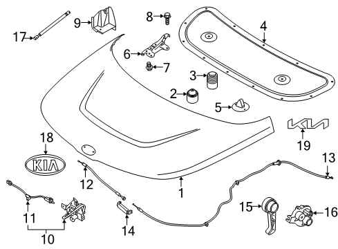 2020 Kia Soul Hood & Components, Exterior Trim Cable Assembly-Hood LATC Diagram for 81190K0100