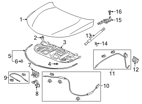 2020 Acura RDX Hood & Components OPEN STAY R, HOOD Diagram for 74145-TJB-A02